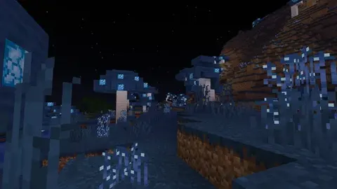 Mushroom Fields
