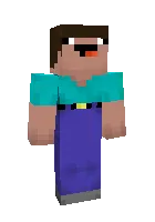 Duck Play — Minecraft skin, rasm 1