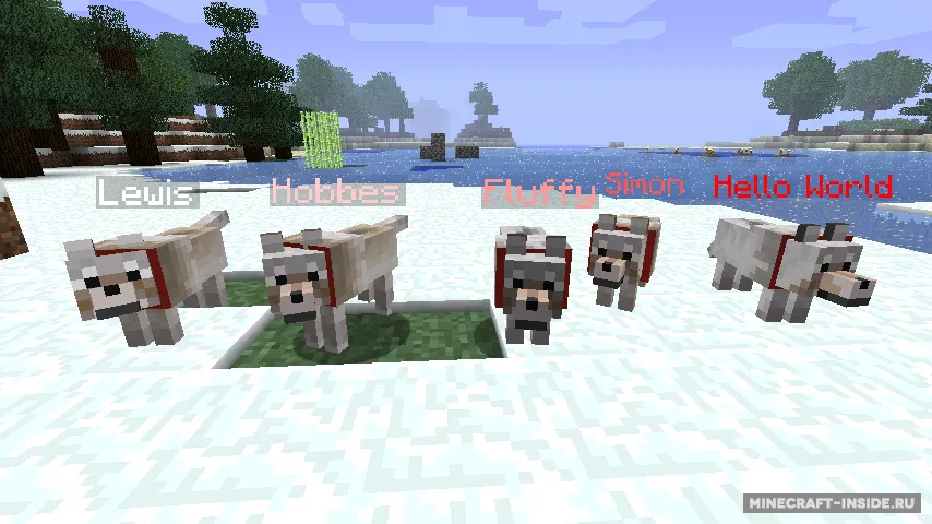 Sophisticated Wolves — Minecraft mod, rasm 6