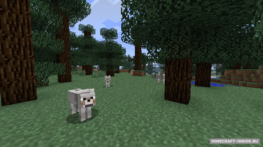 Sophisticated Wolves — Minecraft mod, rasm 7