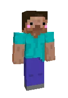Yoqimtoy Stiv — Minecraft skin, rasm 1