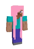 Steve qiz
