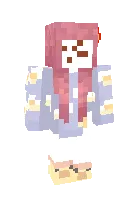 Tri goni dengi — Minecraft skin, rasm 1
