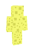 Gubka skini