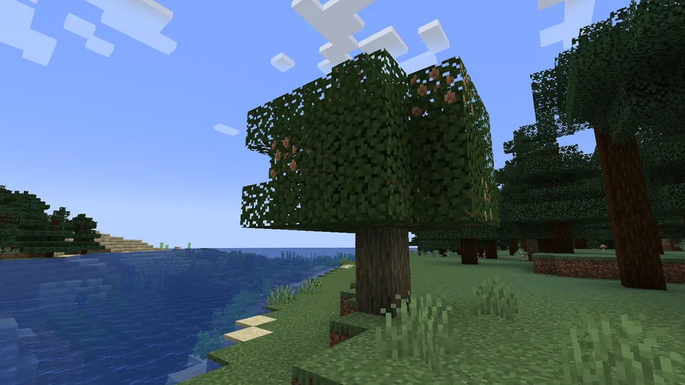 Wan's Winter Comforts — Minecraft mod, rasm 5