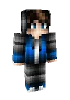 Top skin