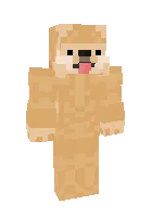 Limoncha — Minecraft skin, rasm 1
