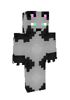 Minecraft — Minecraft skin, rasm 1