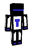 2007 — Minecraft skin, rasm 1