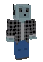 DenS2502 — Minecraft skin, rasm 1