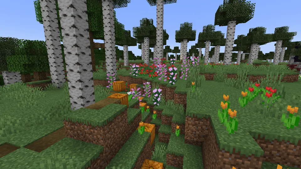 Expanded World — Minecraft mod, rasm 2
