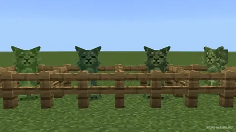 Cat Creepers
