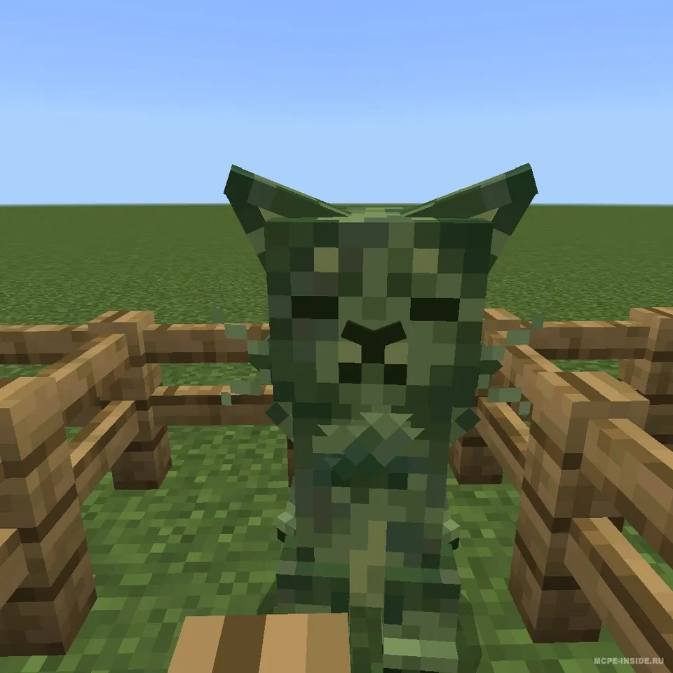 Cat Creepers — Minecraft tekstura, rasm 4