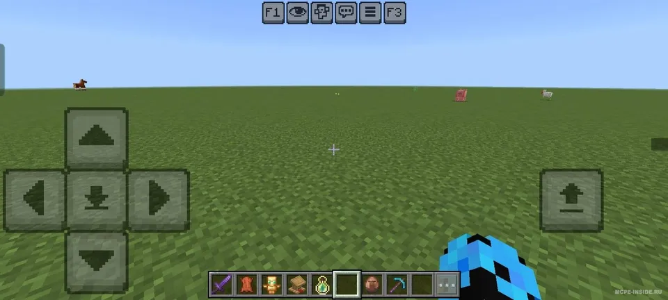 F1 va F3 tugmalari — Minecraft tekstura, rasm 1