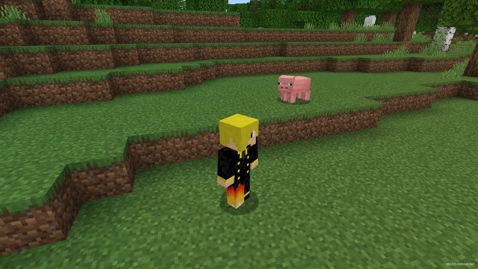 Erkin nigoh — Minecraft tekstura, rasm 1
