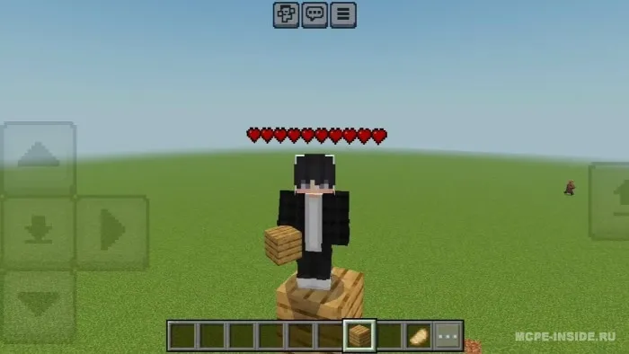 O'yinchi sog'liq indikatori — Minecraft tekstura, rasm 1
