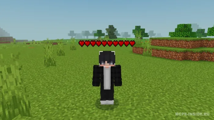 O'yinchi sog'liq indikatori — Minecraft tekstura, rasm 2