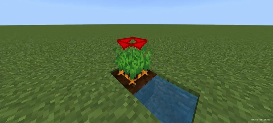 Hosil o'sishi ko'rsatkichi — Minecraft tekstura, rasm 1