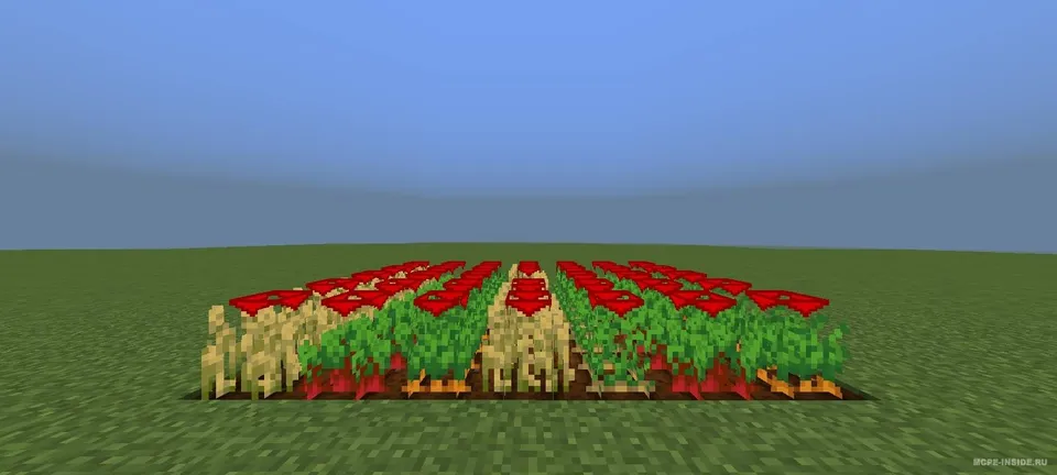 Hosil o'sishi ko'rsatkichi — Minecraft tekstura, rasm 2