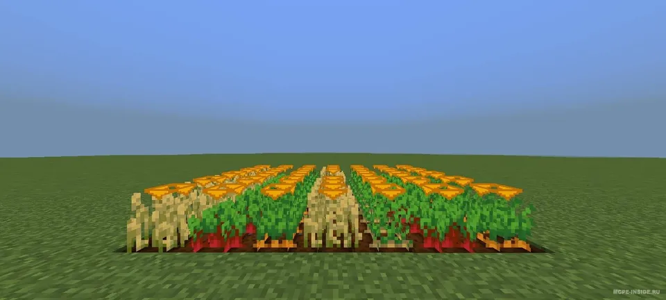 Hosil o'sishi ko'rsatkichi — Minecraft tekstura, rasm 3