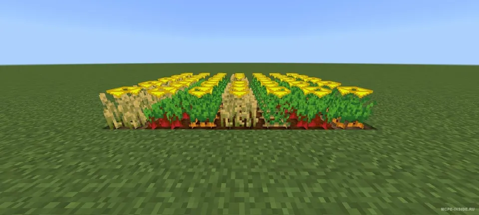 Hosil o'sishi ko'rsatkichi — Minecraft tekstura, rasm 4