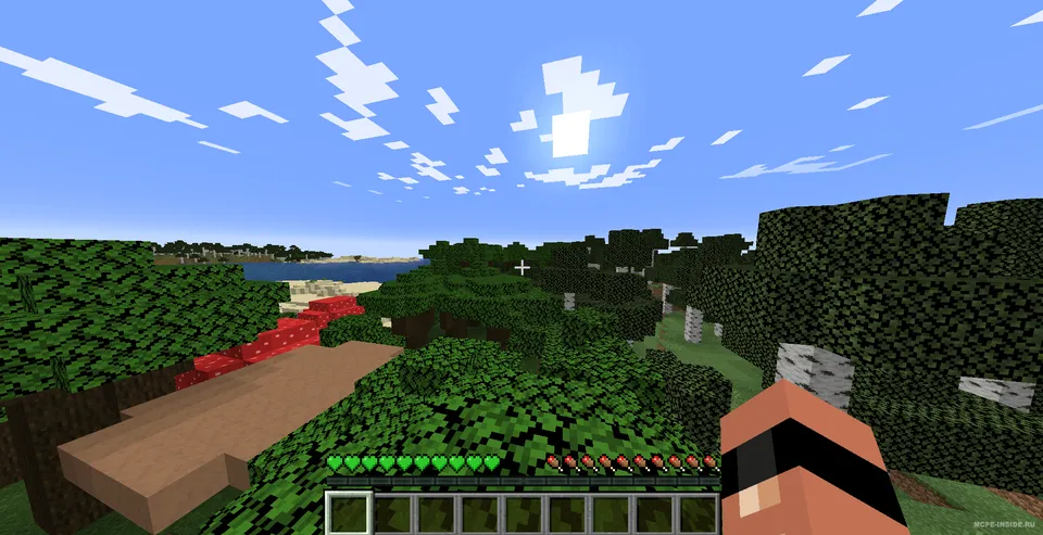 Yashil yuraklar — Minecraft tekstura, rasm 3