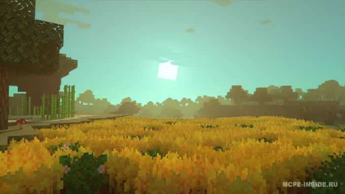 Ekinlar plyus — Minecraft tekstura, rasm 1