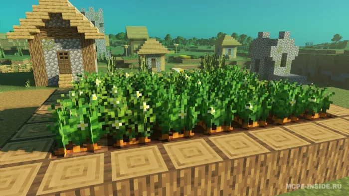 Ekinlar plyus — Minecraft tekstura, rasm 2