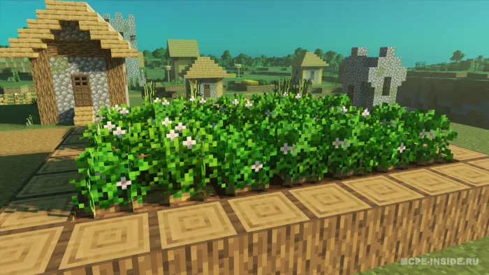 Ekinlar plyus — Minecraft tekstura, rasm 3
