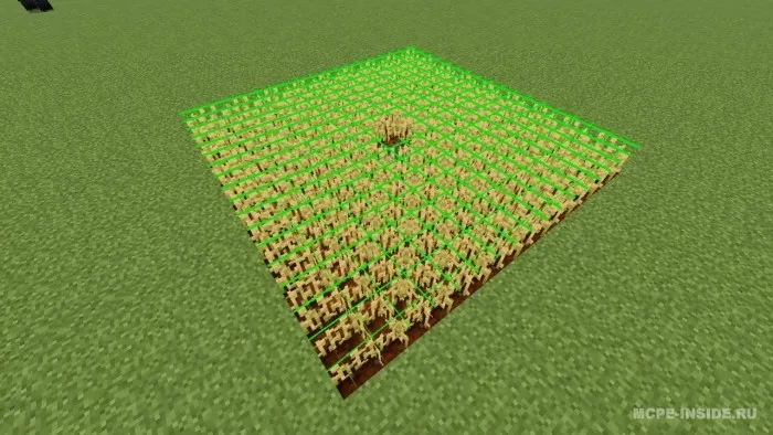 Hosil markeri — Minecraft tekstura, rasm 2