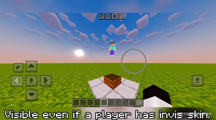 Ko'rinmaslik indikatori — Minecraft tekstura, rasm 3