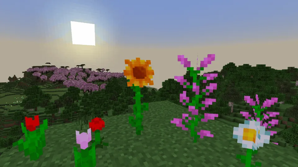 Tabiat nafasi — Minecraft tekstura, rasm 2