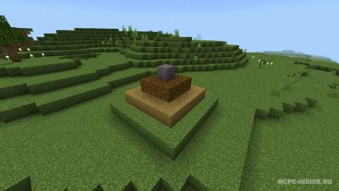 To'liq o'tloq — Minecraft tekstura, rasm 3
