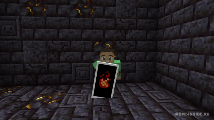 Maxsus qalqonlar — Minecraft tekstura, rasm 1