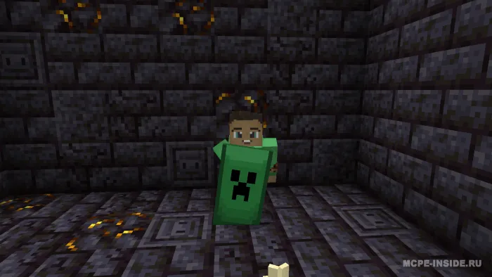 Maxsus qalqonlar — Minecraft tekstura, rasm 3