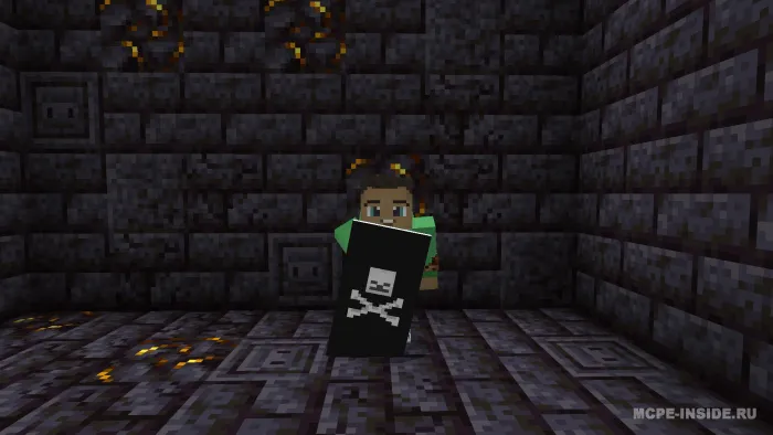 Maxsus qalqonlar — Minecraft tekstura, rasm 4