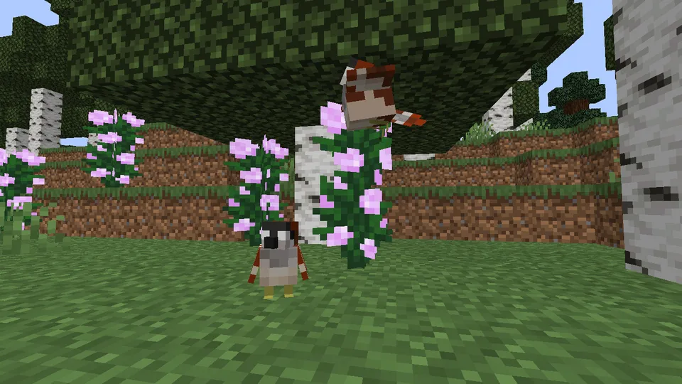 Café's Birding — Minecraft mod, rasm 3