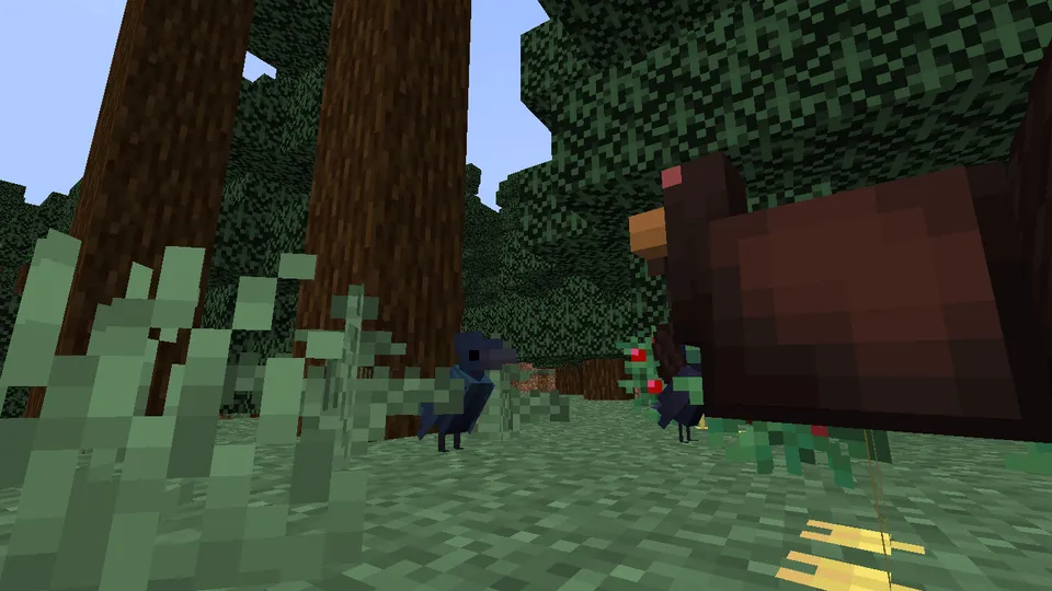 Café's Birding — Minecraft mod, rasm 7