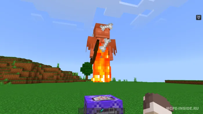 Vizuallik — Minecraft tekstura, rasm 4