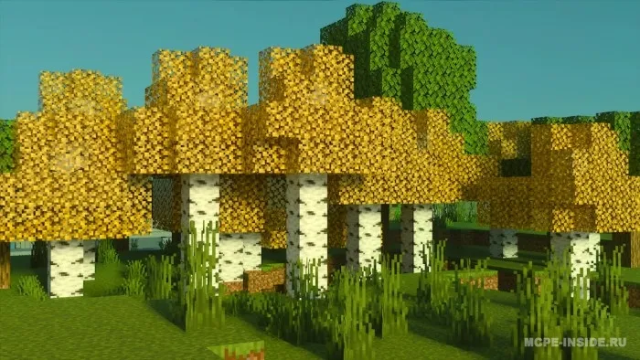 Qayinlar + — Minecraft tekstura, rasm 2
