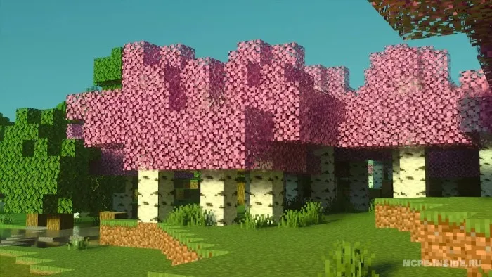 Qayinlar + — Minecraft tekstura, rasm 4