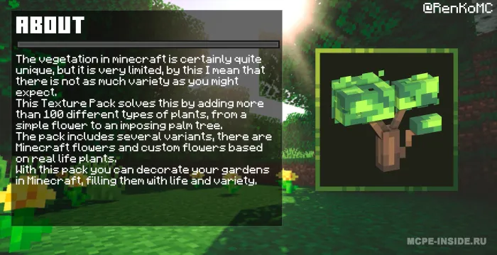 Tabiat kengaytmasi — Minecraft tekstura, rasm 1