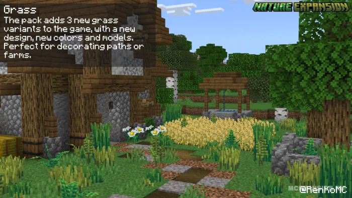 Tabiat kengaytmasi — Minecraft tekstura, rasm 4