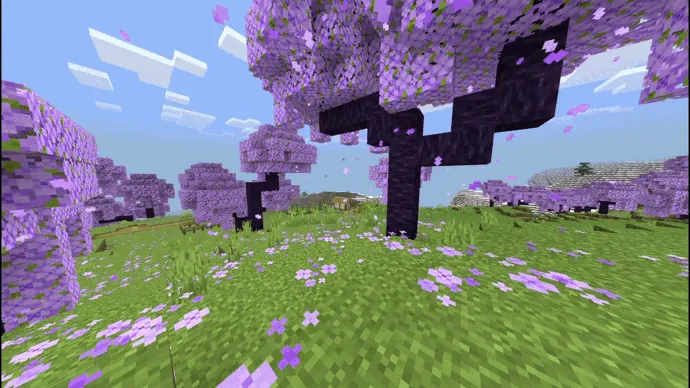 Rangli olcha biomi — Minecraft tekstura, rasm 3
