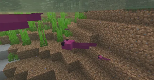 Amfibiya — Minecraft tekstura, rasm 1