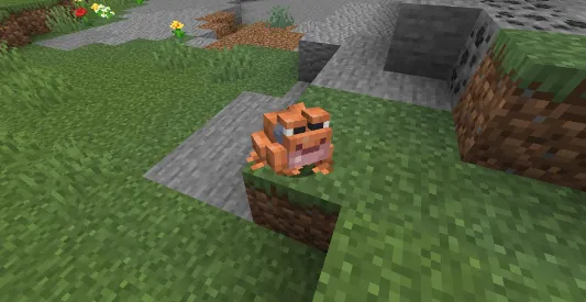 Amfibiya — Minecraft tekstura, rasm 3
