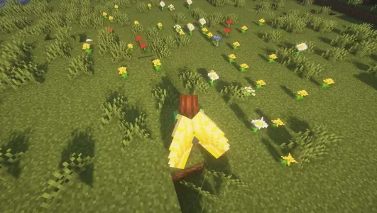 Efirlar qanotlari — Minecraft tekstura, rasm 4