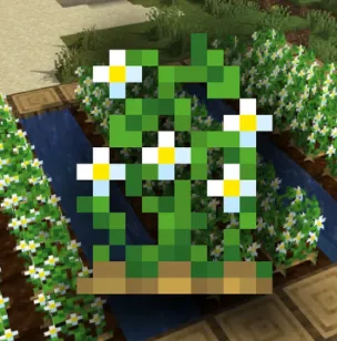 Kartoshka gullari — Minecraft tekstura, rasm 1