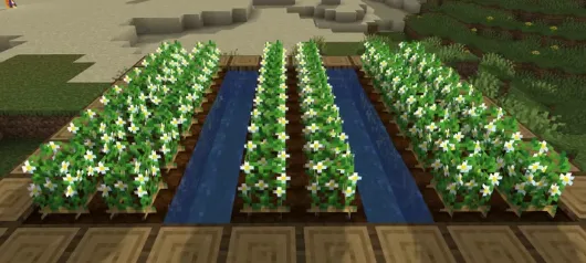 Kartoshka gullari — Minecraft tekstura, rasm 2