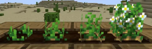 Kartoshka gullari — Minecraft tekstura, rasm 3
